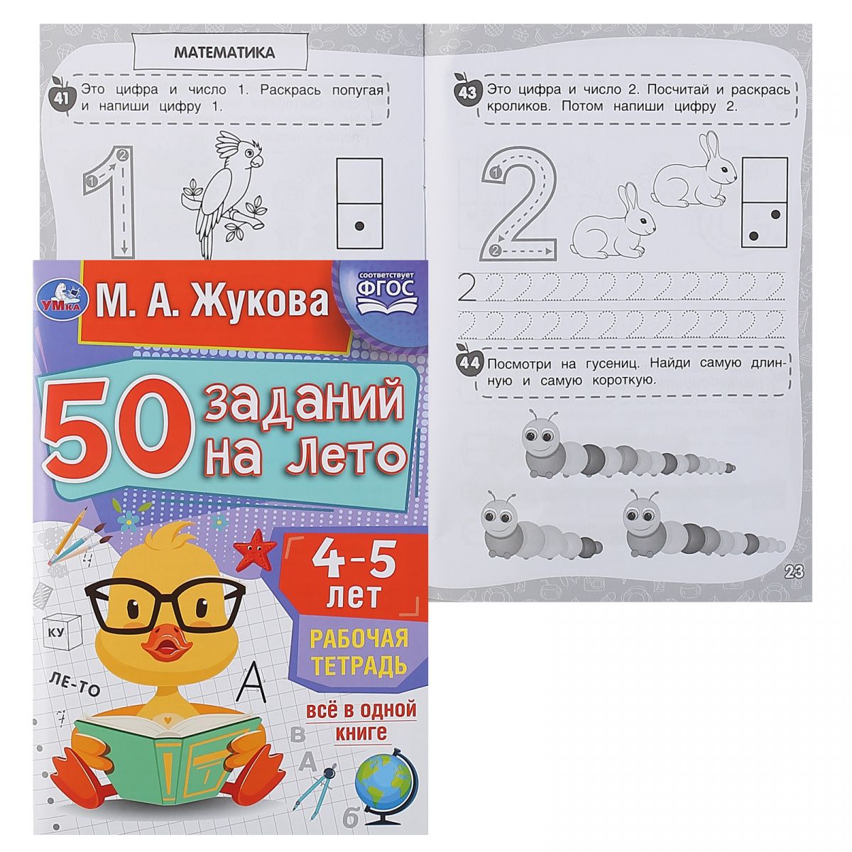Тетради жуковой 5 6 лет