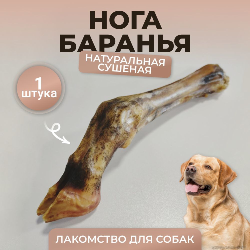 нога баранья