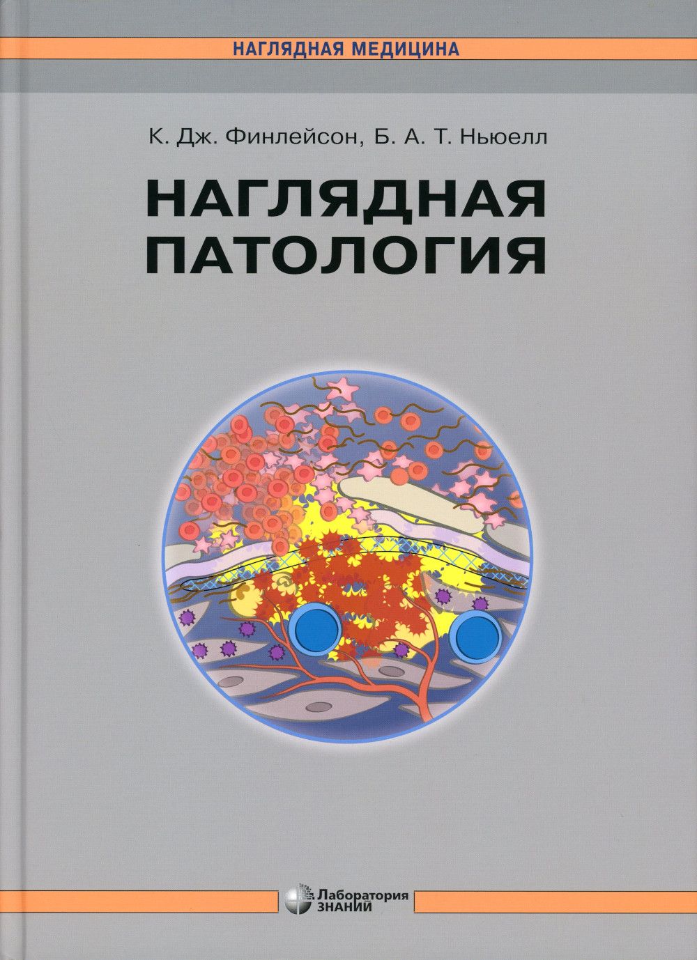 Наглядная Патология – купить в интернет-магазине OZON по низкой цене