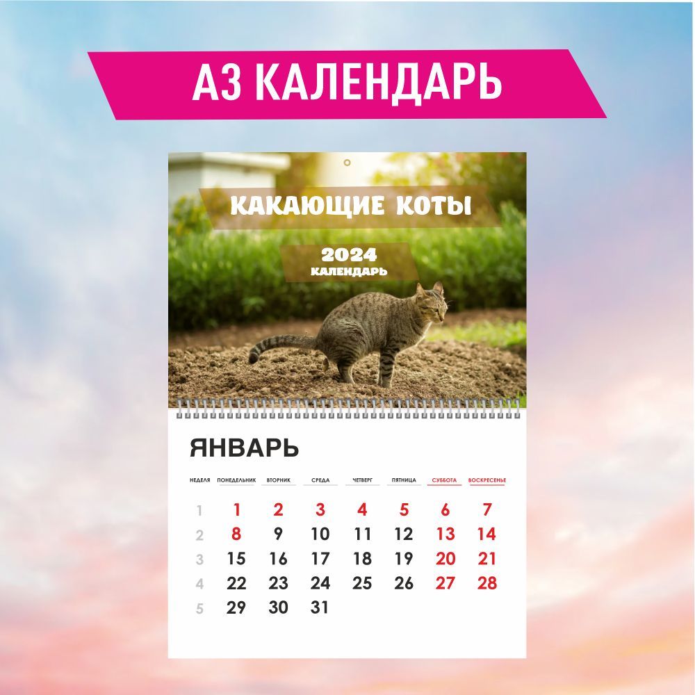 Прикольный календарь Какающие коты 2024 год