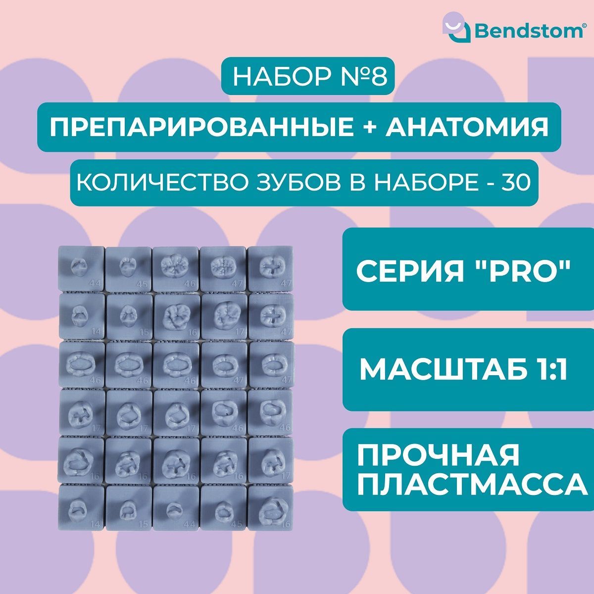 Набор №8 зубы PRO (30 штук) препарированные + анатомия для отработки мануальных навыков / стоматологические модели для реставрации