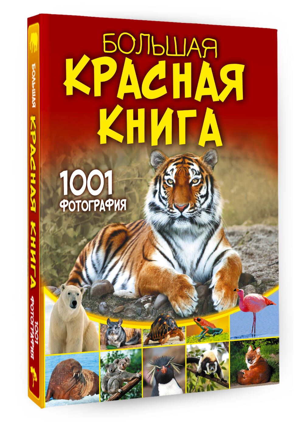 Большая красная книга. 1001 фотография | Спектор Анна Артуровна