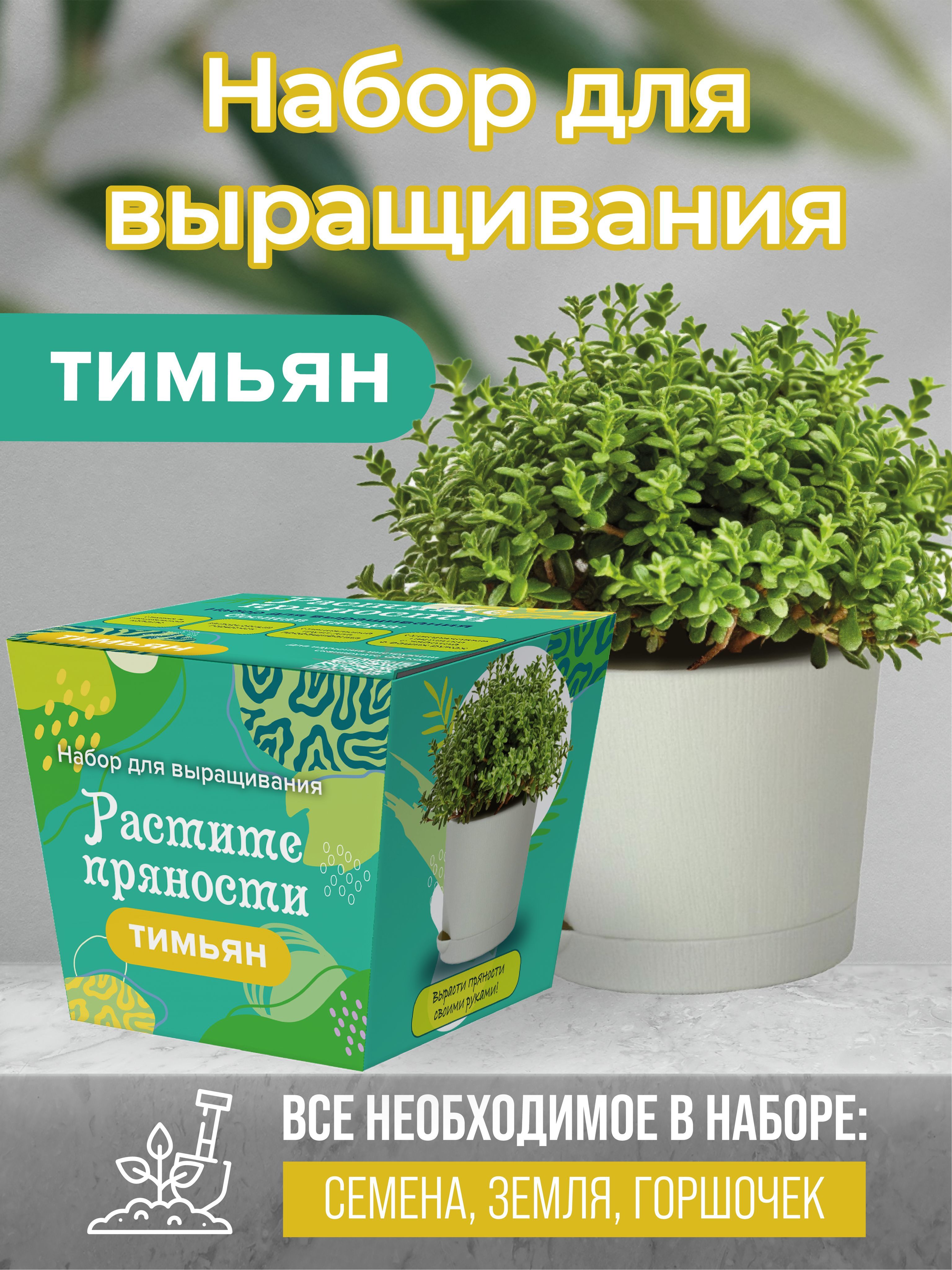 Набор для выращивания ЭкоКлуб, Тимьян, Многолетник купить по выгодной цене  в интернет-магазине OZON (1253314774)