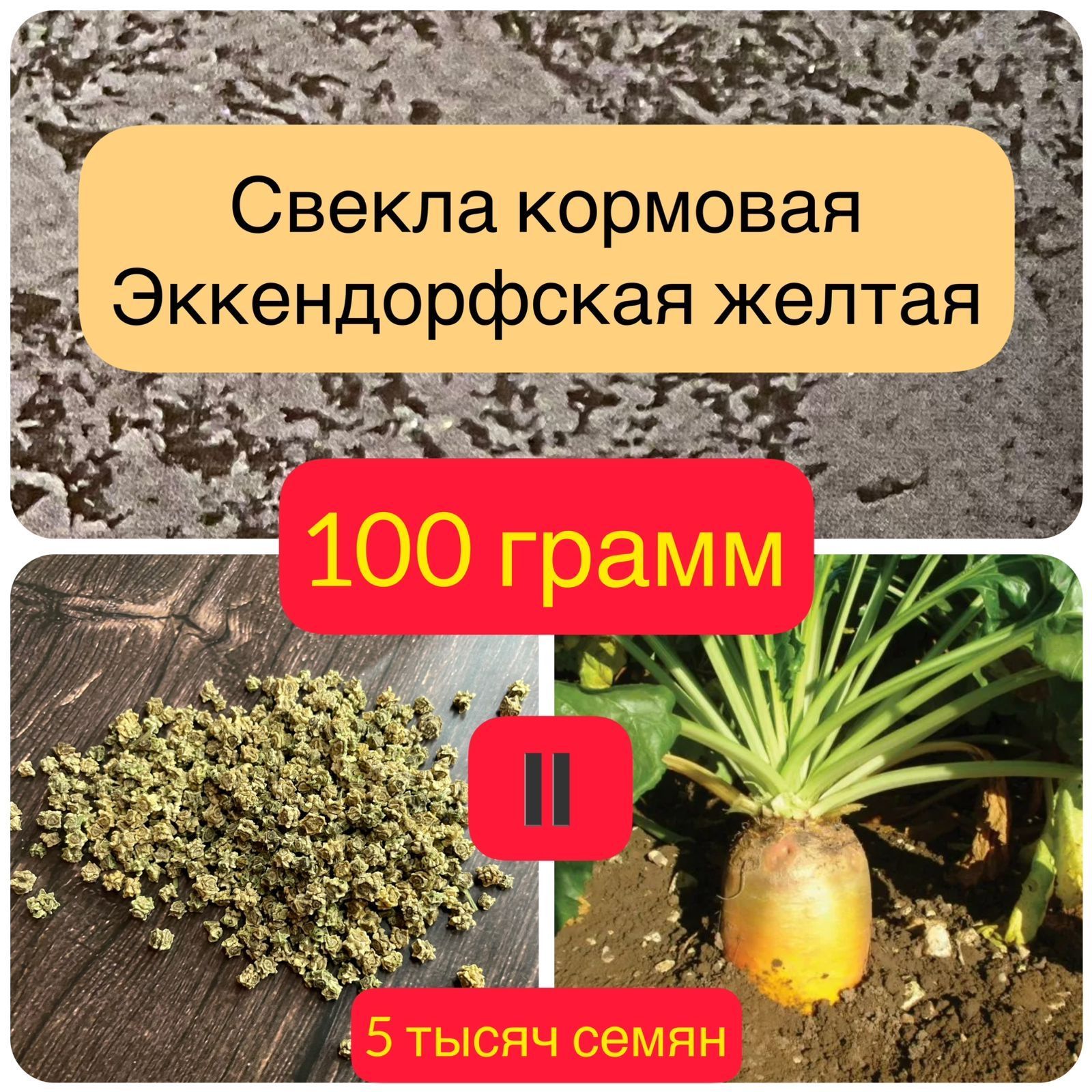 Купить Семена Свеклы Кормовой Эккендорфская Желтая