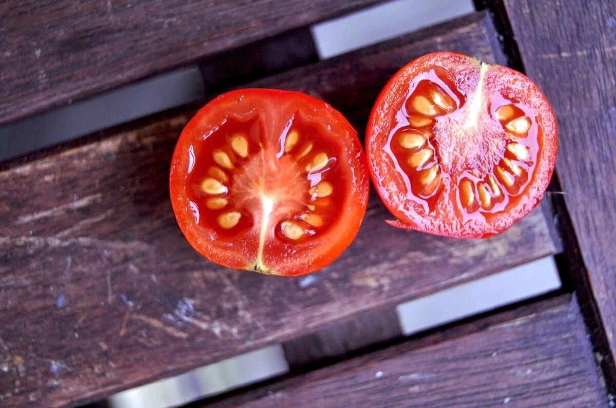 Готовим семена томатов. Семена помидор. Семя томата. Семечко помидора. Срез томата.