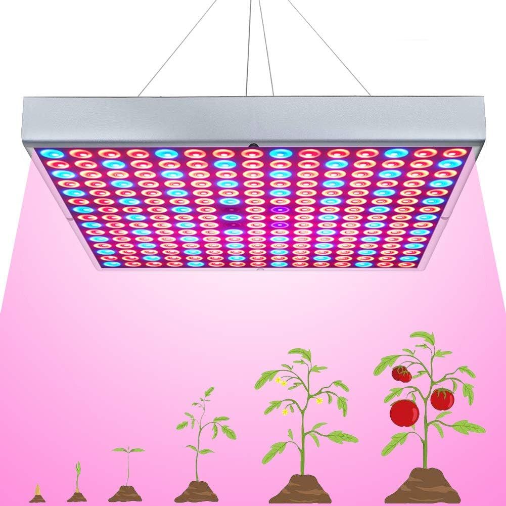 Led plant lights. Grow Panel. Rizom UV grow.