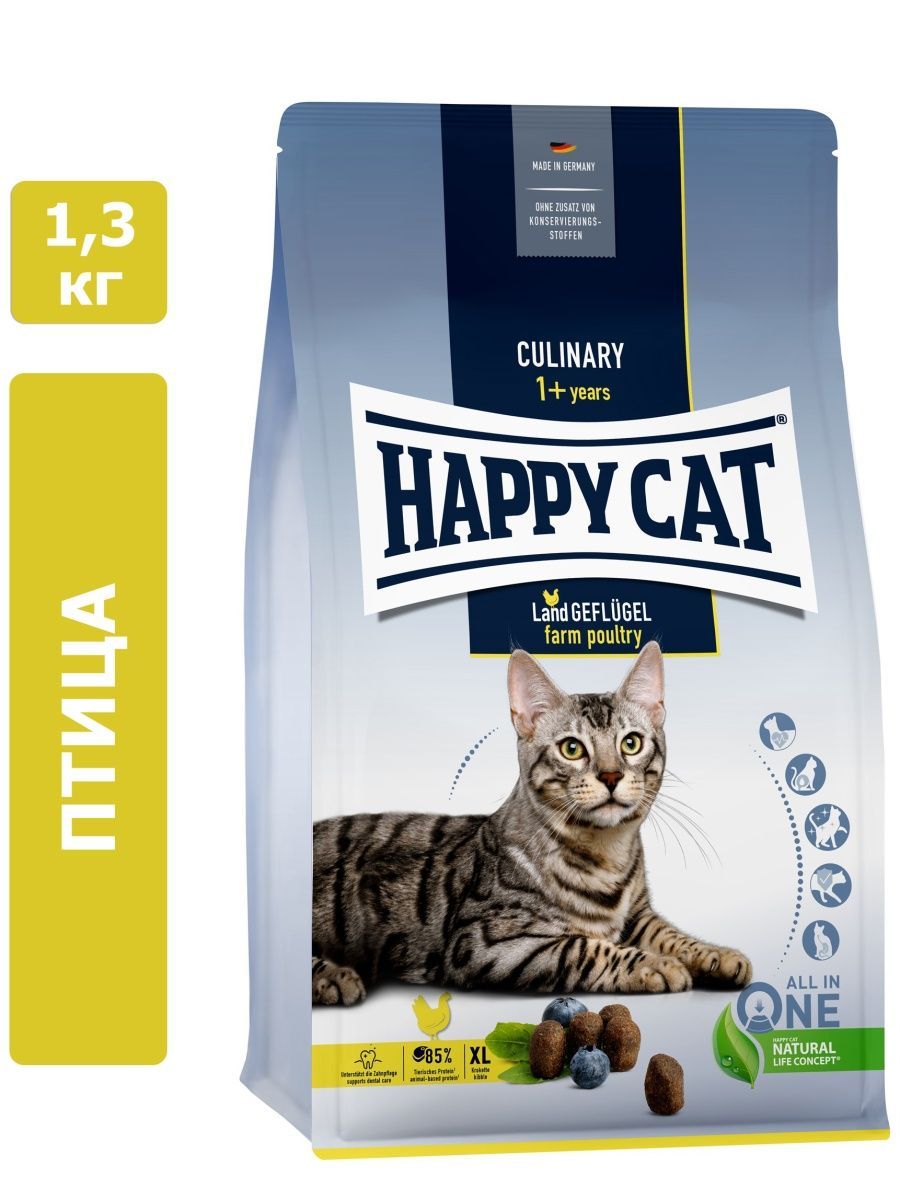 Life cat сухой корм. Корм для кошек пастбищный ягненок Happy Cat сухой. Happy Cat Sterilised 10 кг. Happy Cat корм для кошек 10 кг. Happy Cat Альпийская говядина.