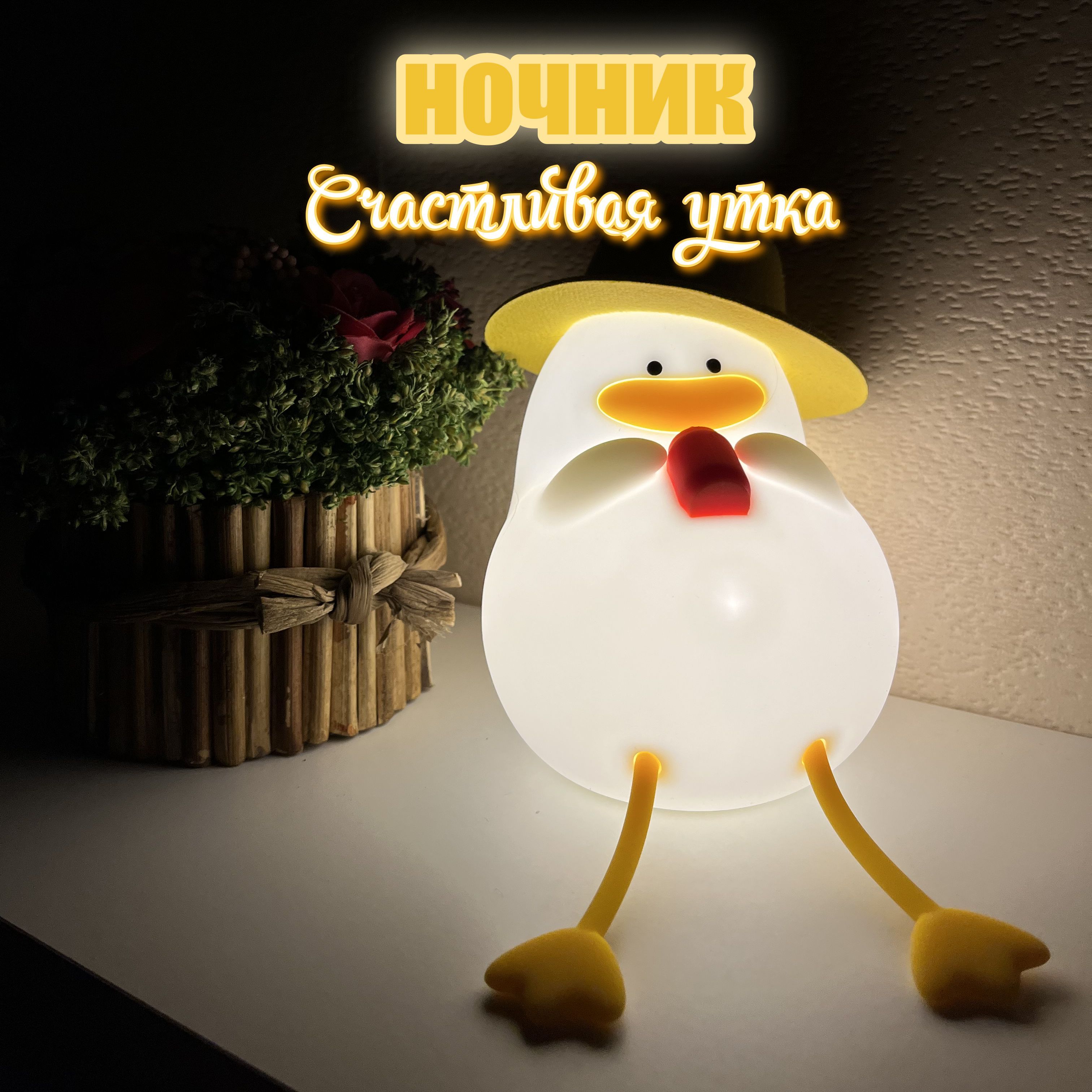 Ночникуточкавшляпе