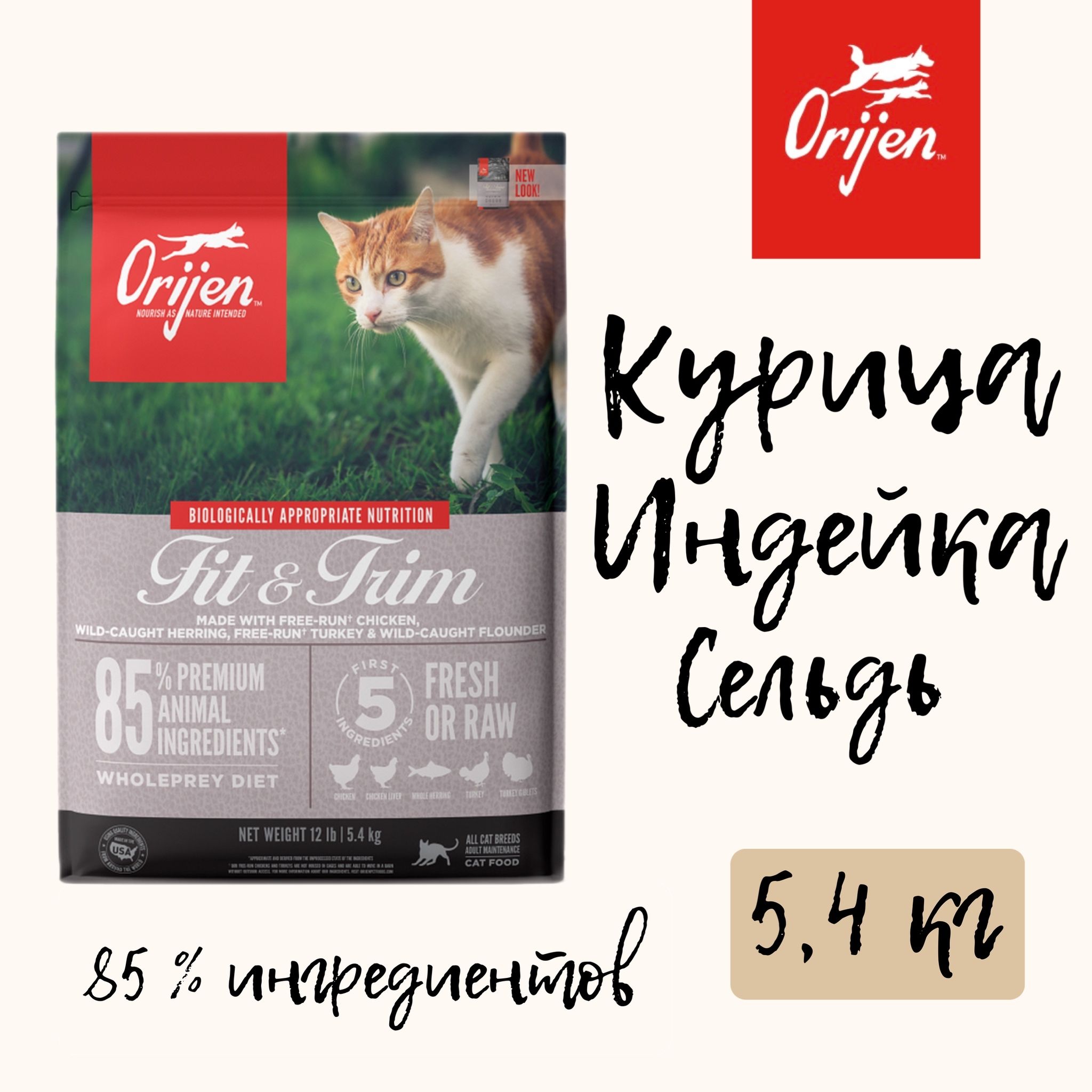 Корм Для Котят Orijen Купить