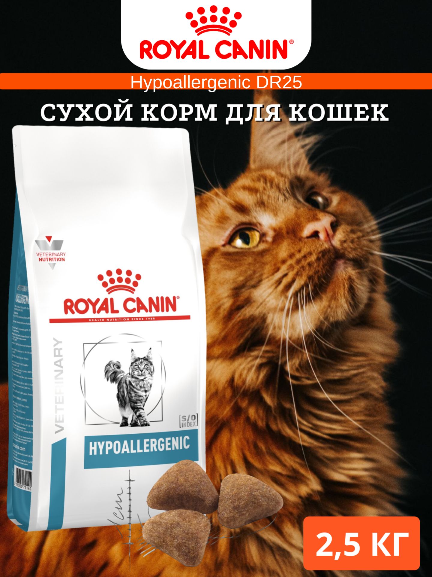 Bichon royal canin best sale