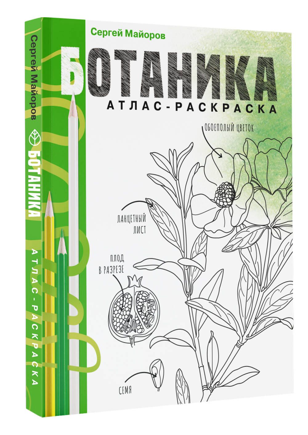 Ботаника. Атлас-раскраска | Майоров Сергей - купить с доставкой по выгодным  ценам в интернет-магазине OZON (1270956073)