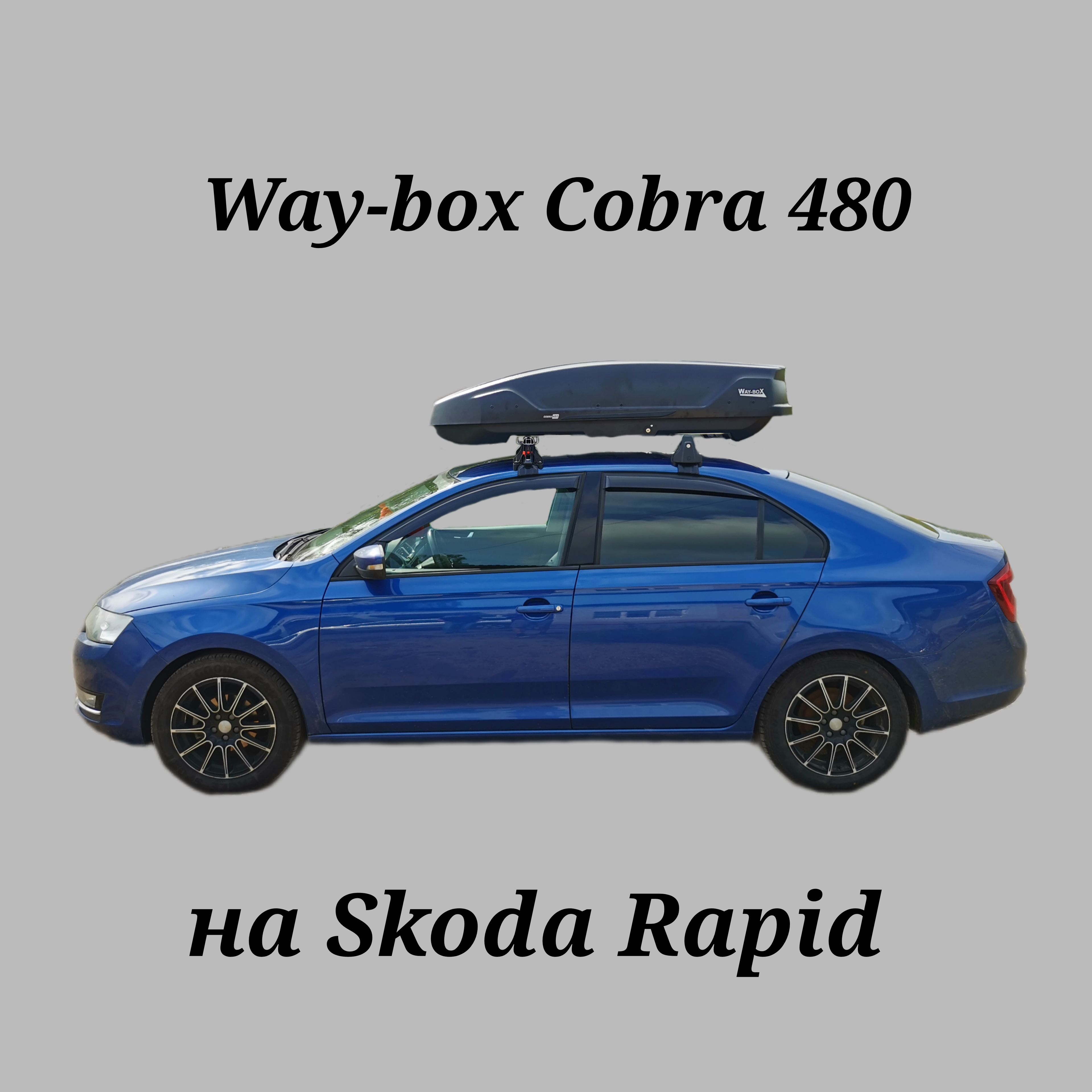 Way box cobra. Way box cobra