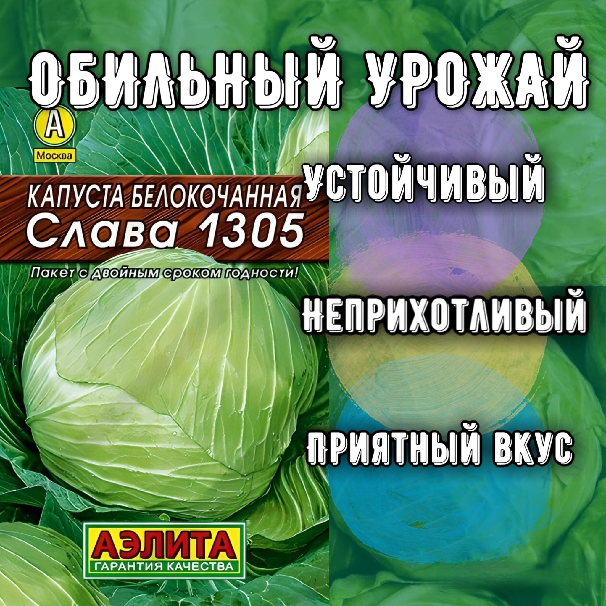 Капуста Слава 1305 Описание Сорта Фото