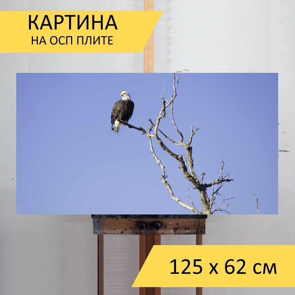 Картина птиц 