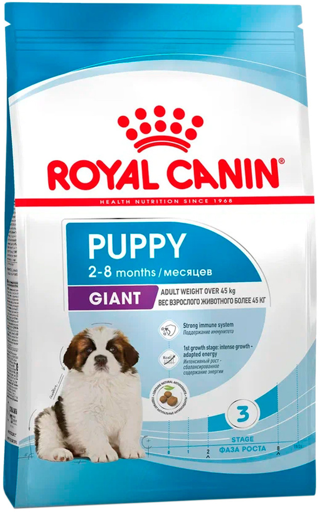 giant royal canin puppy