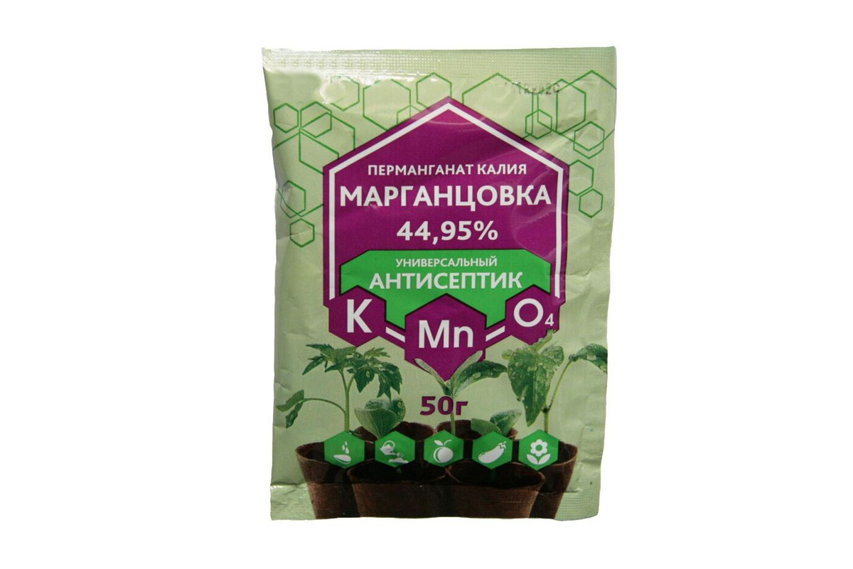 Магазин Растений Просветок Магазин Растений Просветок