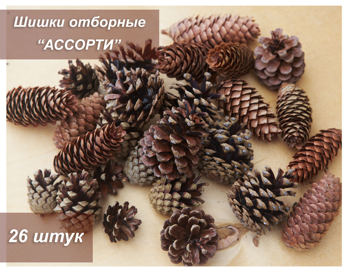 Новогодние Шишки Купить Новогодние Шишки Купить