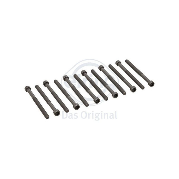 Комплект болтов ГБЦ VAG VAG TOUAREG/TRANSPORTER/MULTIVAN BAC/BLK