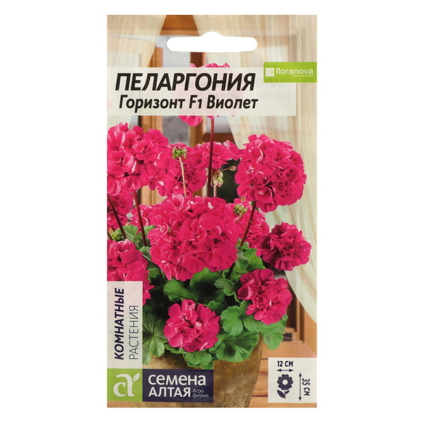 Пеларгонии (Герань) Семена Алтая 7349927 - купить по выгодным ценам в ...