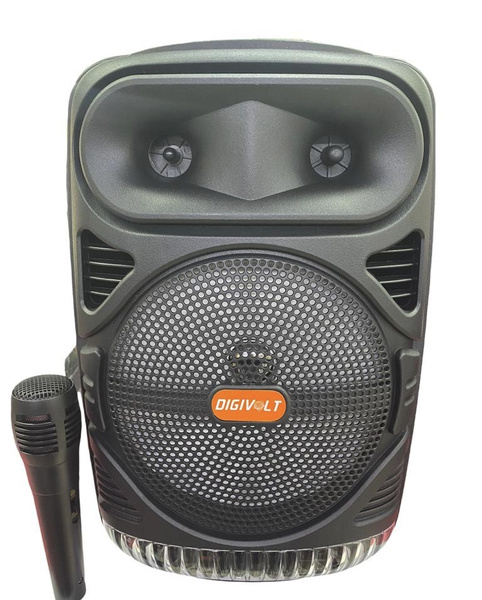 Беспроводная колонка DIGIVOLT DG-1086 - купить по доступным ценам в ...