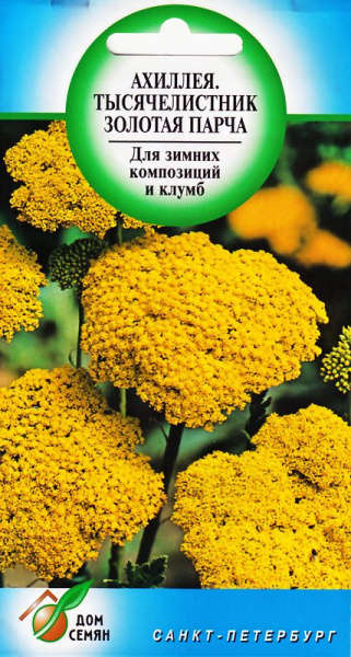 Сухоцветы, Тысячелистники Дом Семян Тысячелистник многолетний желтый ...