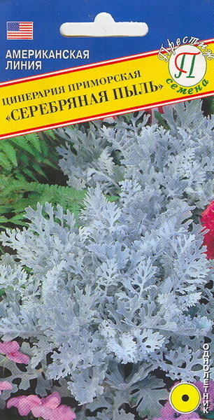 Цинерарии Престиж семена 278096-1 - купить по выгодным ценам в интернет ...