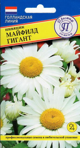 Престиж семена Ромашка (нивяник) Майфилд Гигант 0.1 грамма семян ...