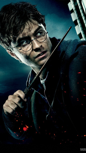 Harry potter Ozon
