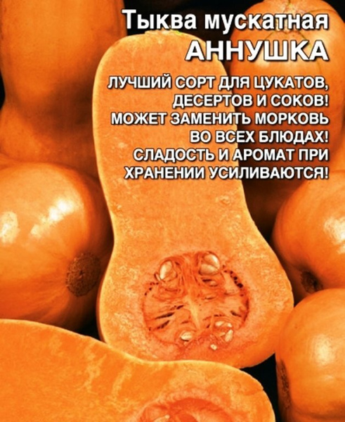 Тыква мускатная описание сорта фото отзывы