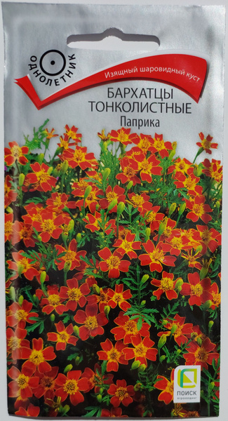 Бархатцы Поиск Бархатцы тонколистные Паприка 0.1 грамма семян - купить ...