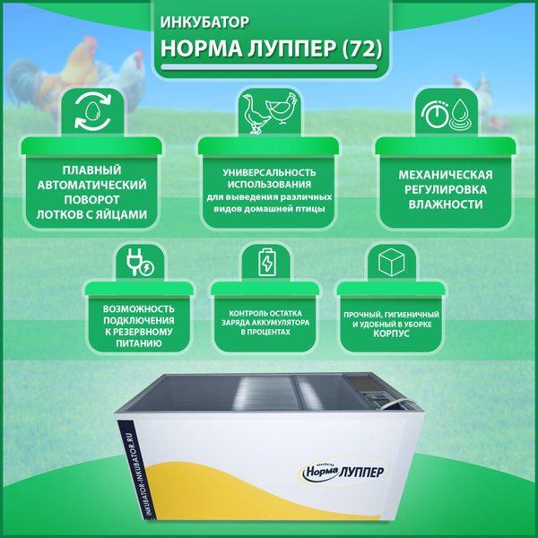 Инкубатор Норма Луппер Цифровой 72 яйца, 220/12В - купить с доставкой ...