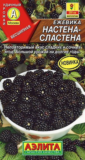 Ежевика Аэлита Лесная ягода_ - купить по выгодным ценам в интернет ...