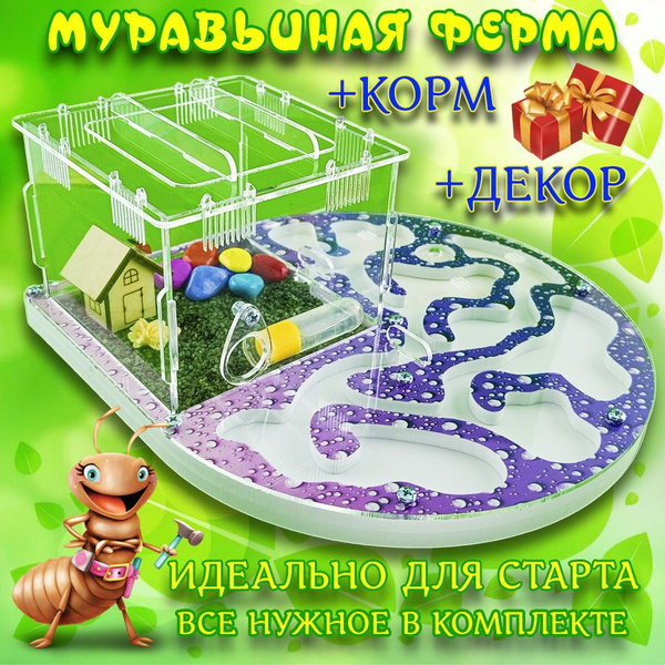 Муравьиная ферма, формикарий - купить с доставкой по выгодным ценам в ...