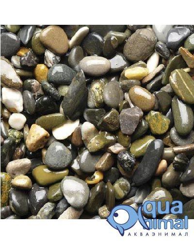 Грунт "Морская галька 5-10" , 2кг д/аквариума (АкваГрунт) - купить с ...