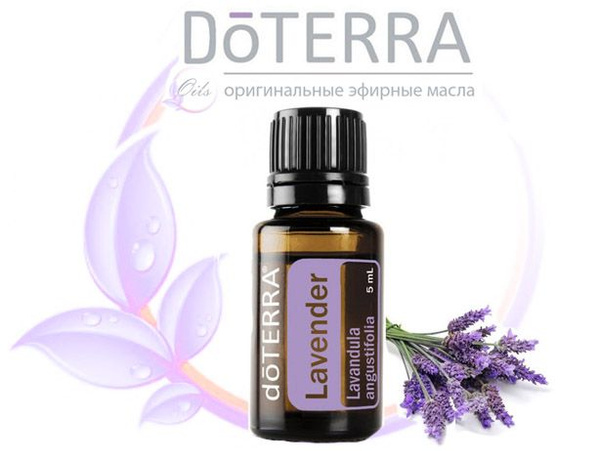 doTERRA лаванда ДоТЕРРА Эфирное масло 15 мл (837684753)