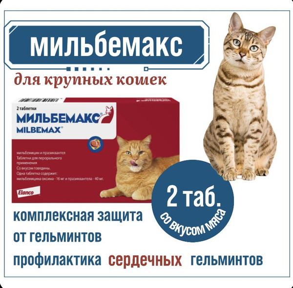 Мильбемакс, таблетки от гельминтов со вкусом говядины для крупных кошек ...