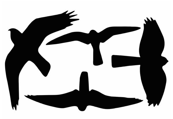 Защита стеклянных дверей и окон от птиц: наклейки (21 x 30) см - V5 ...