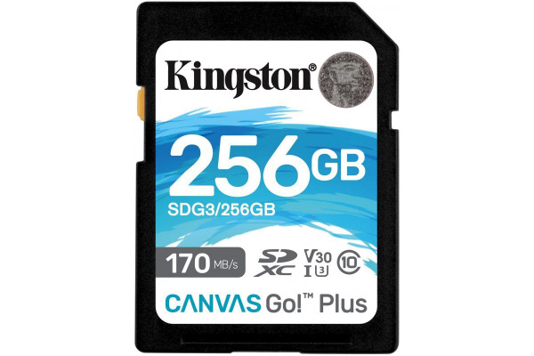 Карта памяти kingston canvas go plus microsdxc 128 гб