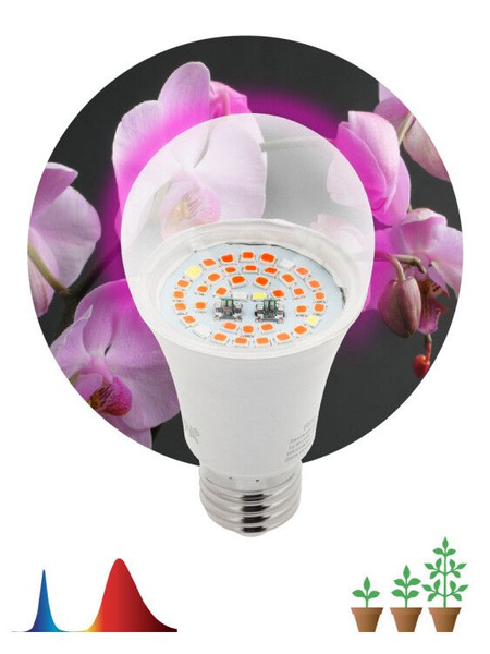 Фитолампа для растений светодиодная ЭРА FITO-14W-RB-E27 красно-синего ...