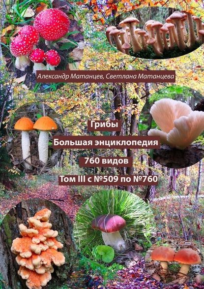 Грибы. Большая энциклопедия. 760 видов. Том III. С No509 по No760 ...