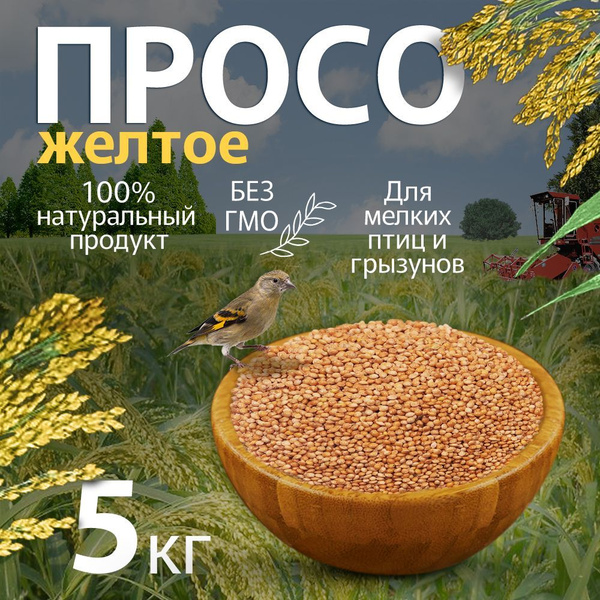 Семена просо желтое 5кг / корм для попугаев птиц и грызунов / зерна для ...