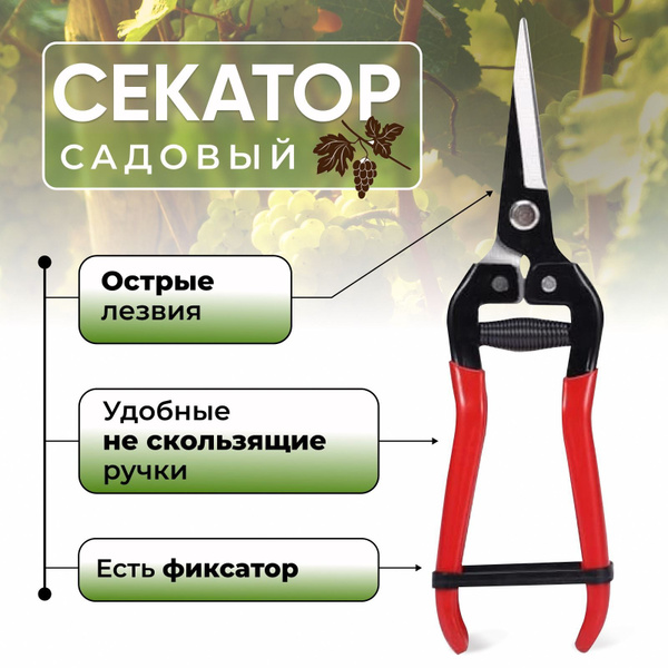 Какой Секатор Лучше Купить Для Сада Отзывы