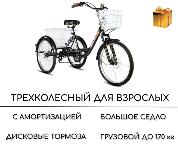 Трехколесный велосипед для взрослых РВЗ Чемпион черный - купить по ...