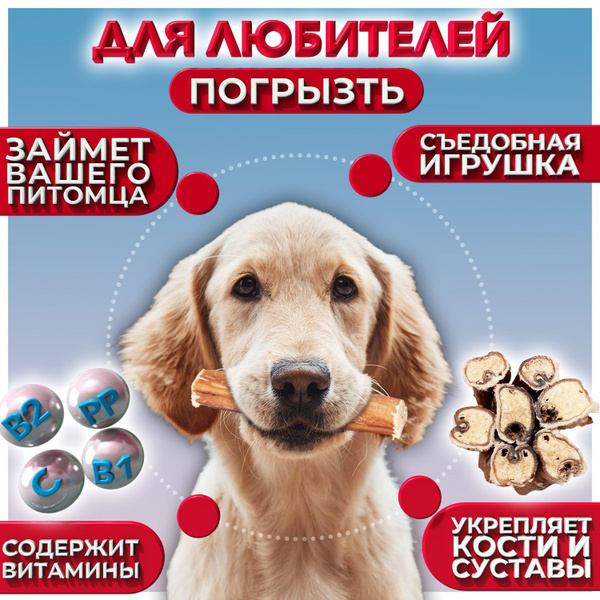 Лакомство для собак - Бычий корень сушеный (10 см) 100 гр. - купить с ...