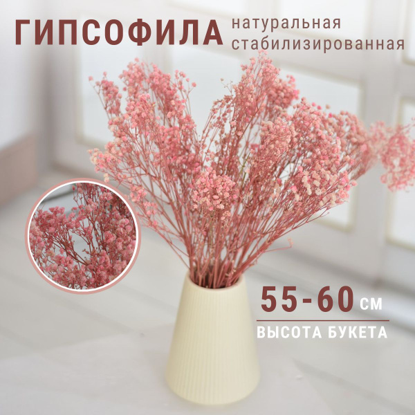 Гипсофила стабилизированная сухоцвет для вазы, декора купить на OZON по ...