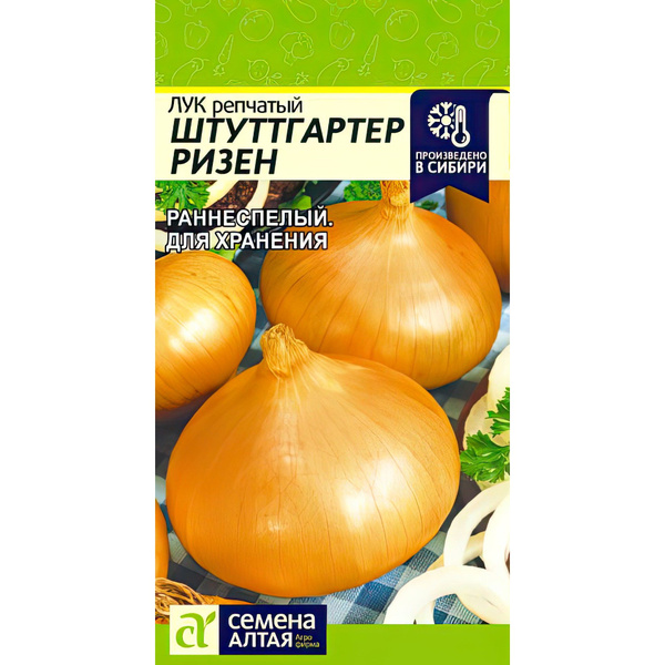 Лук севок штутгартер описание характеристики
