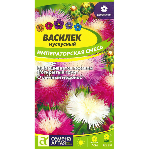 Васильки многолетние Семена Алтая Императорская Смесь мускусный ...