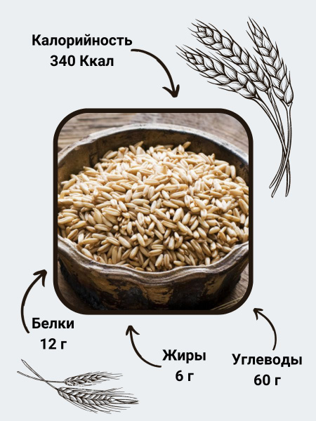 Овсяная крупа недробленая купить на OZON по низкой цене (1623145657)