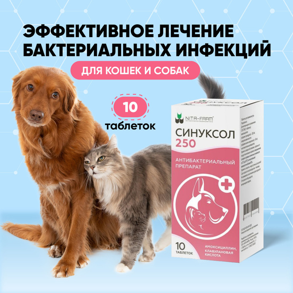 Синуксол для кошек