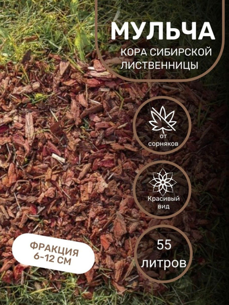 Кора лиственницы сибирской - купить по низкой цене в интернет-магазине ...